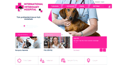Desktop Screenshot of intvethospital.com