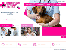 Tablet Screenshot of intvethospital.com